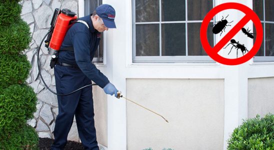 Kemalpaşa Kemirgen İlaçlama böcek ilaçlama ve haşere kontrolü — ilaclama-tr.com